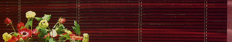 Jalousie